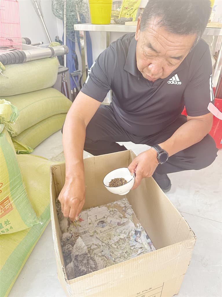 为野生动物营造一个安全的“家”