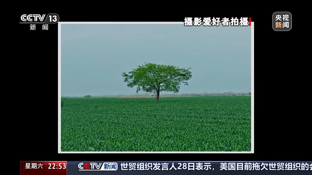 当"网红打卡"遇上春日美景：文明赏春，让距离产生美