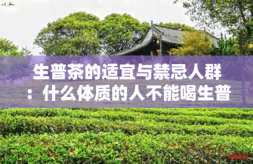 生普茶的适宜与禁忌人群：什么体质的人不能喝生普茶？
