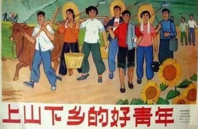 知青白启娴：从农村典型到英年早逝的曲折人生