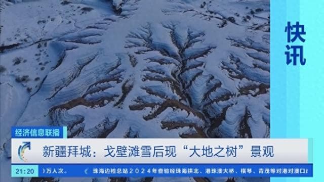 新疆雪后现"大地之树"奇观，专家揭秘其形成原因
