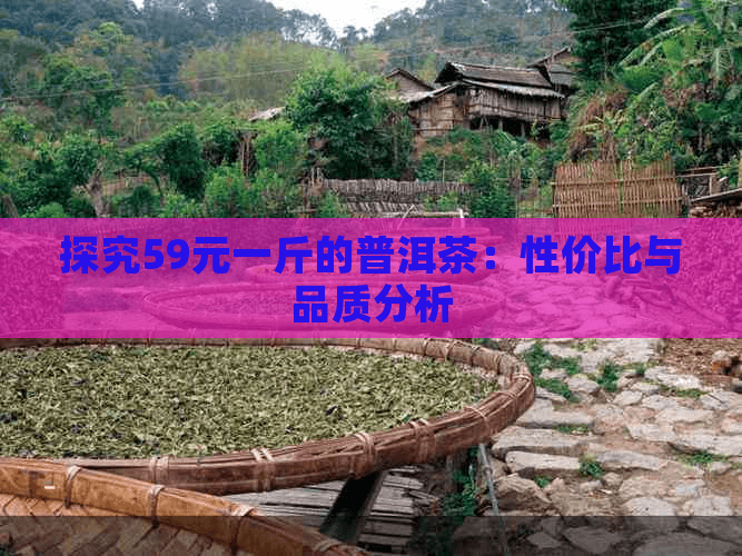 探究59元一斤的普洱茶：性价比与品质分析