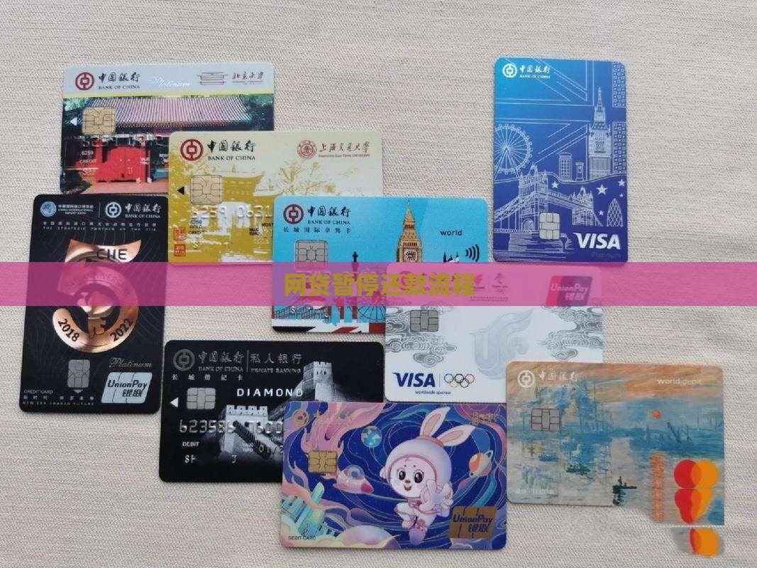 网贷暂停还款流程详解：从申请到审核的关键步骤