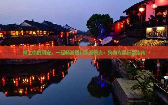 带上你的萌宠，一起畅游四川旅游景点：狗狗专属玩耍指南