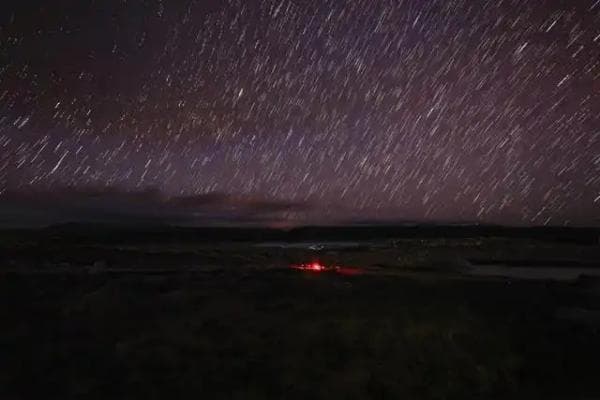 【新华社】2024：这些科技“明星”闪耀中国
