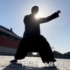 太极拳本质论：道家无为法视域下的阴阳大化与拳道真意