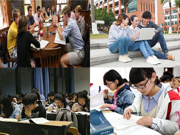 高职单招思维导图：从招生政策到报到入学全流程详解