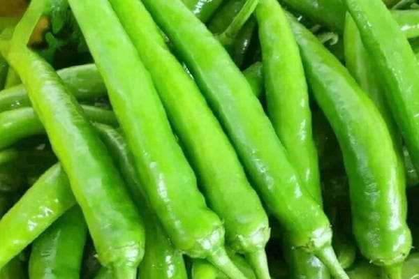 杭椒线椒美人椒有什么区别，外观、口感、食用方法均不同