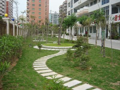 泉州市丰泽区实验小学：一所流淌诗意的百年名校