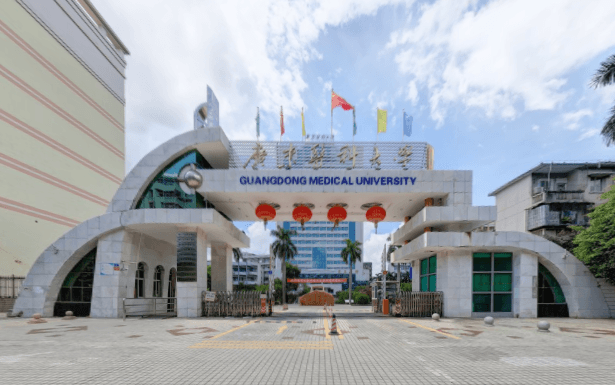 广东医科大学奖学金有哪些，一般多少钱？