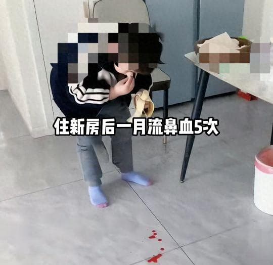 小心！这 5 大“甲醛杀手”，别让它们毁了你的新家