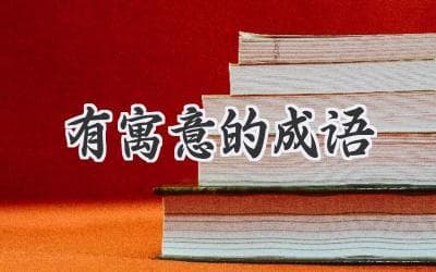 一语双关，妙语连珠：探寻成语的智慧与魅力