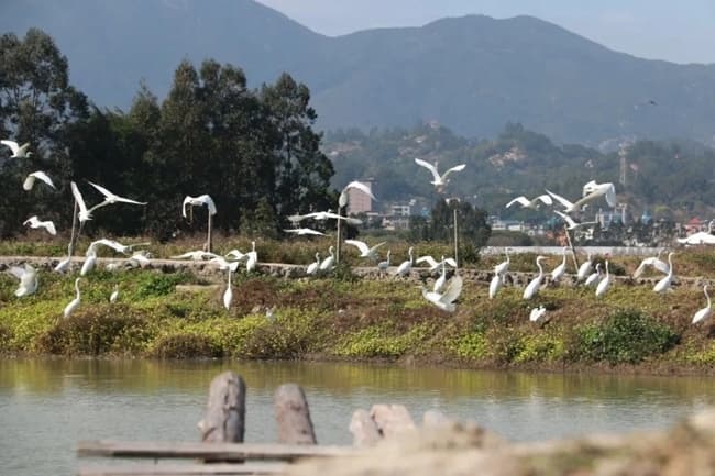 好风景带来好“钱”景 看福州长乐这个镇如何玩转“银发经济＋农文旅”