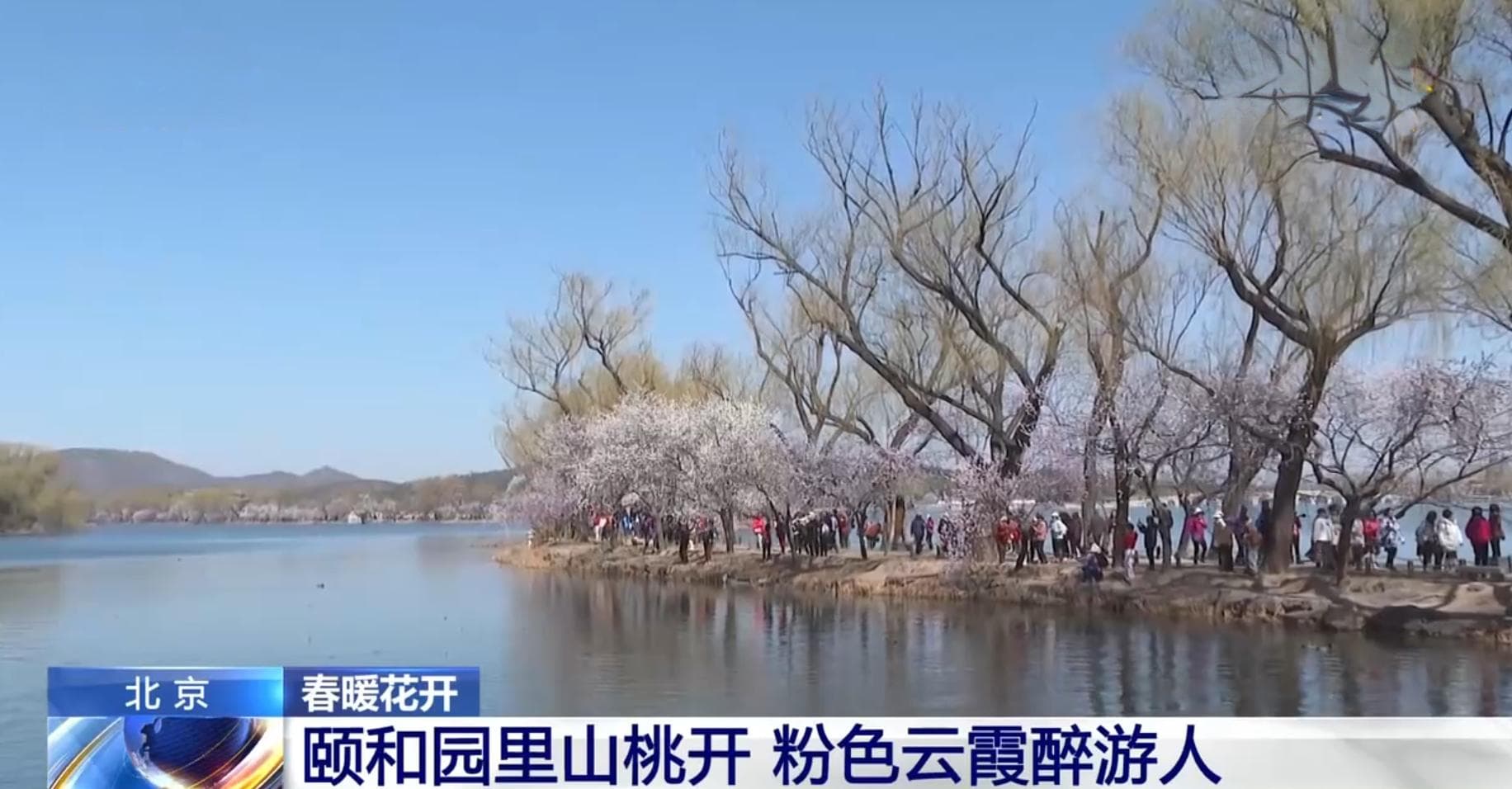 多地春暖花开、生机萌动 水域生态修复成效显著绘就“绿水青山”美景