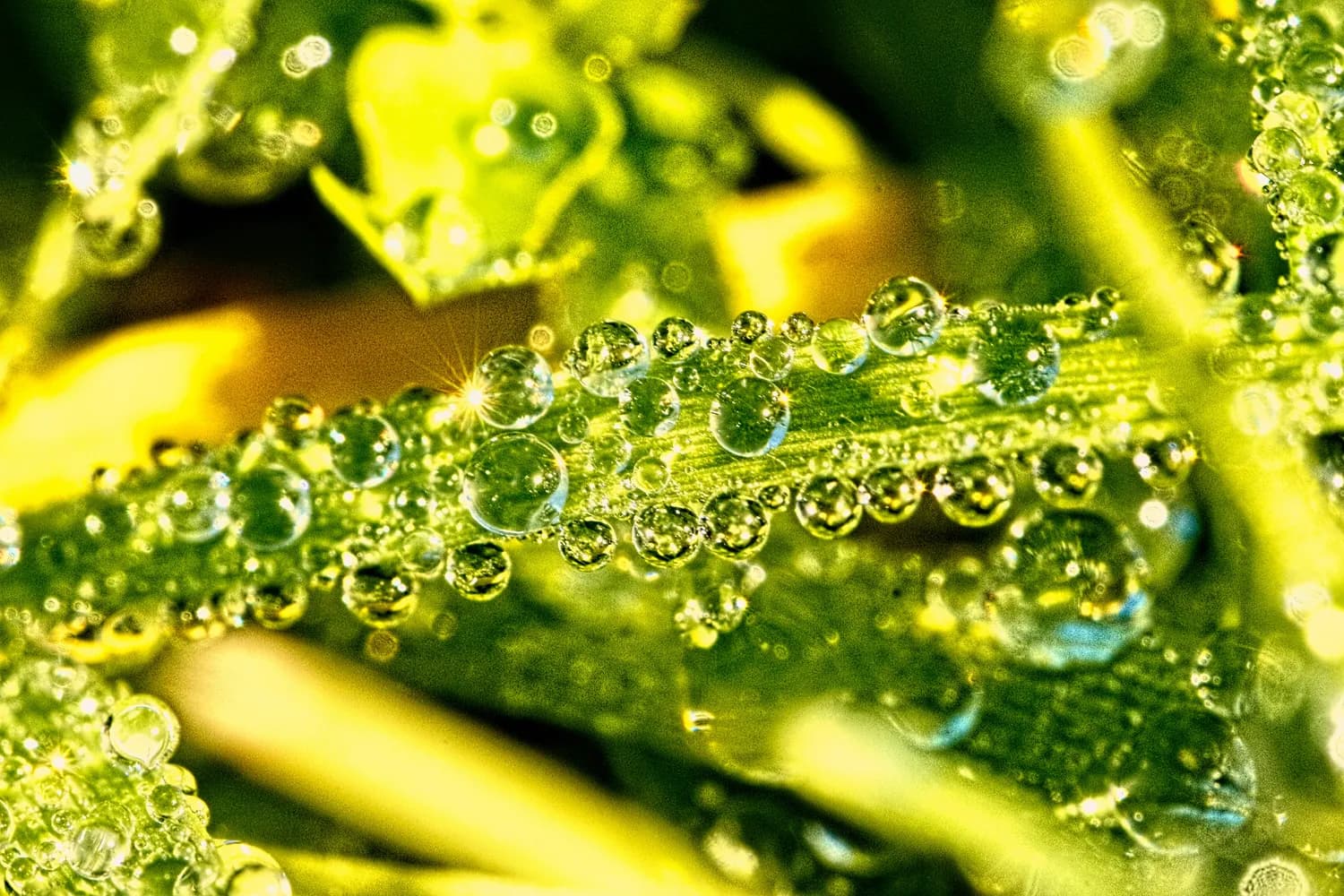 白露时节，古诗词里的秋意浓