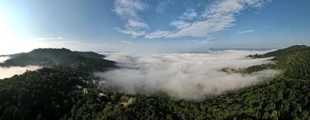 “年”在景迈山！路线活动全攻略速收藏→