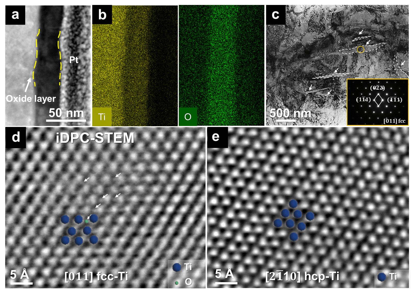 中国团队在《Nature Materials》发表重要成果：新型钛合金设计突破