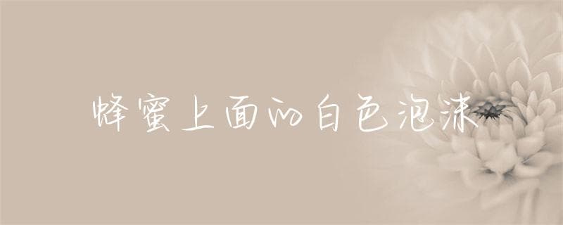 蜂蜜上面的白色泡沫