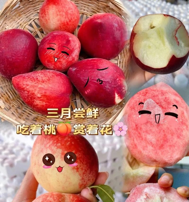 杨桃的食用禁忌与注意事项