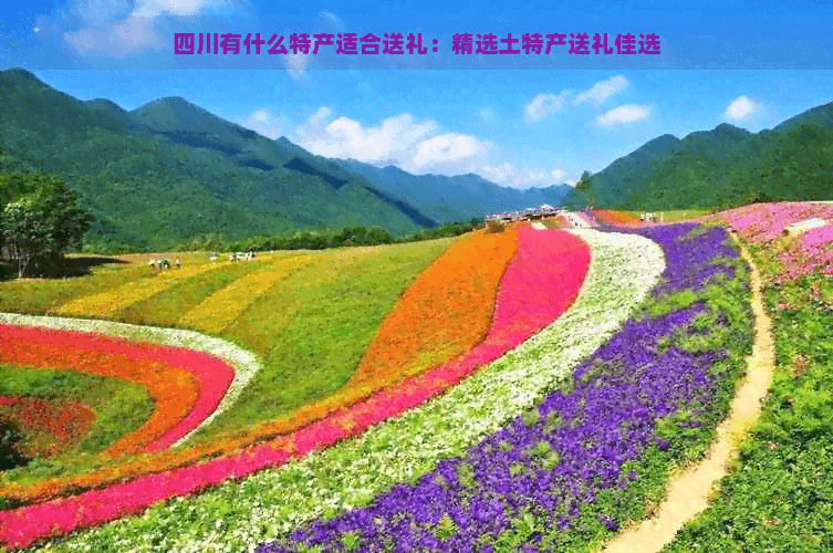 四川特产送礼指南：精选土特产佳选