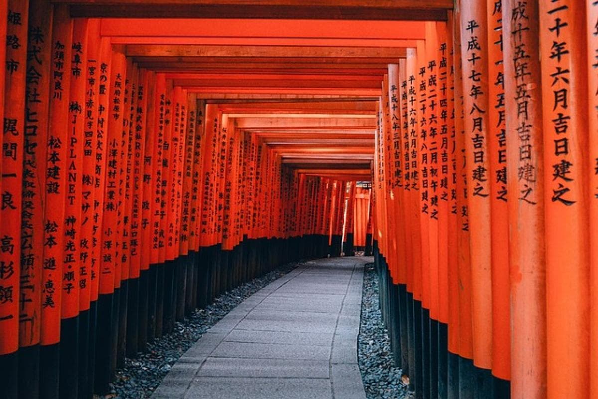 日本适合几月去？最佳旅游时间与建议