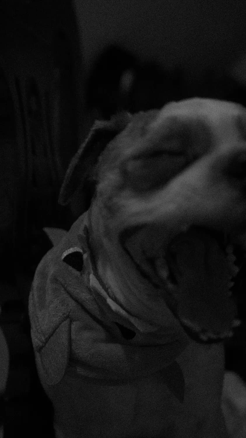 《狂犬病》专著：一部病毒进化与人类抗争的历史