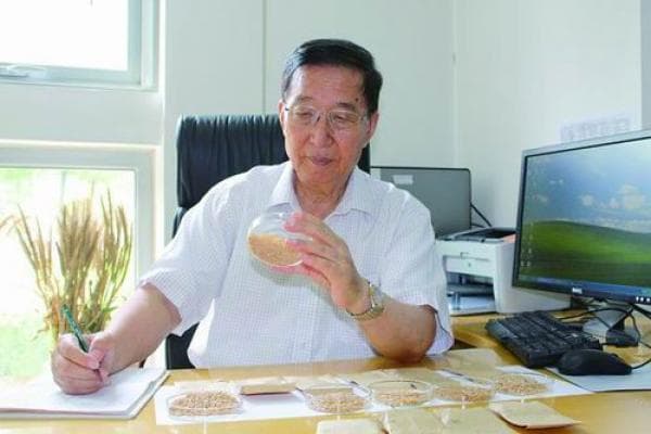 他是农业科学领域的一座“灯塔”