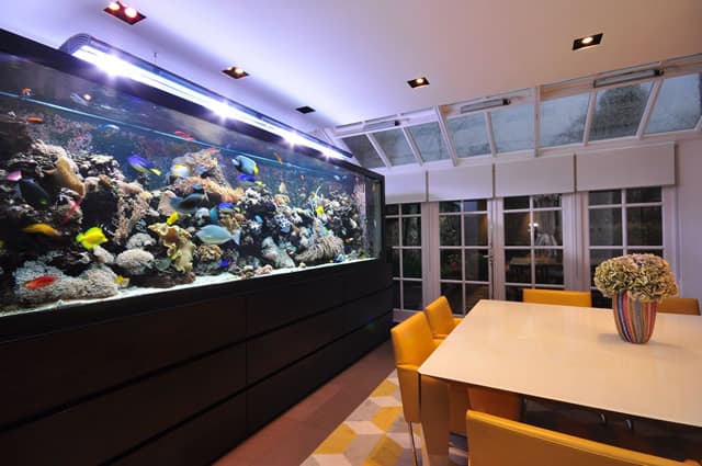 水族箱养殖完全指南：配件选择、安装方法、造景教程及换水清洗知识