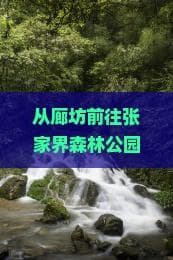 张家界森林公园深度游：廊坊游客必备交通与行程指南