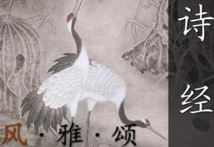 《诗经·国风·山有扶苏》：一首俏皮的情歌