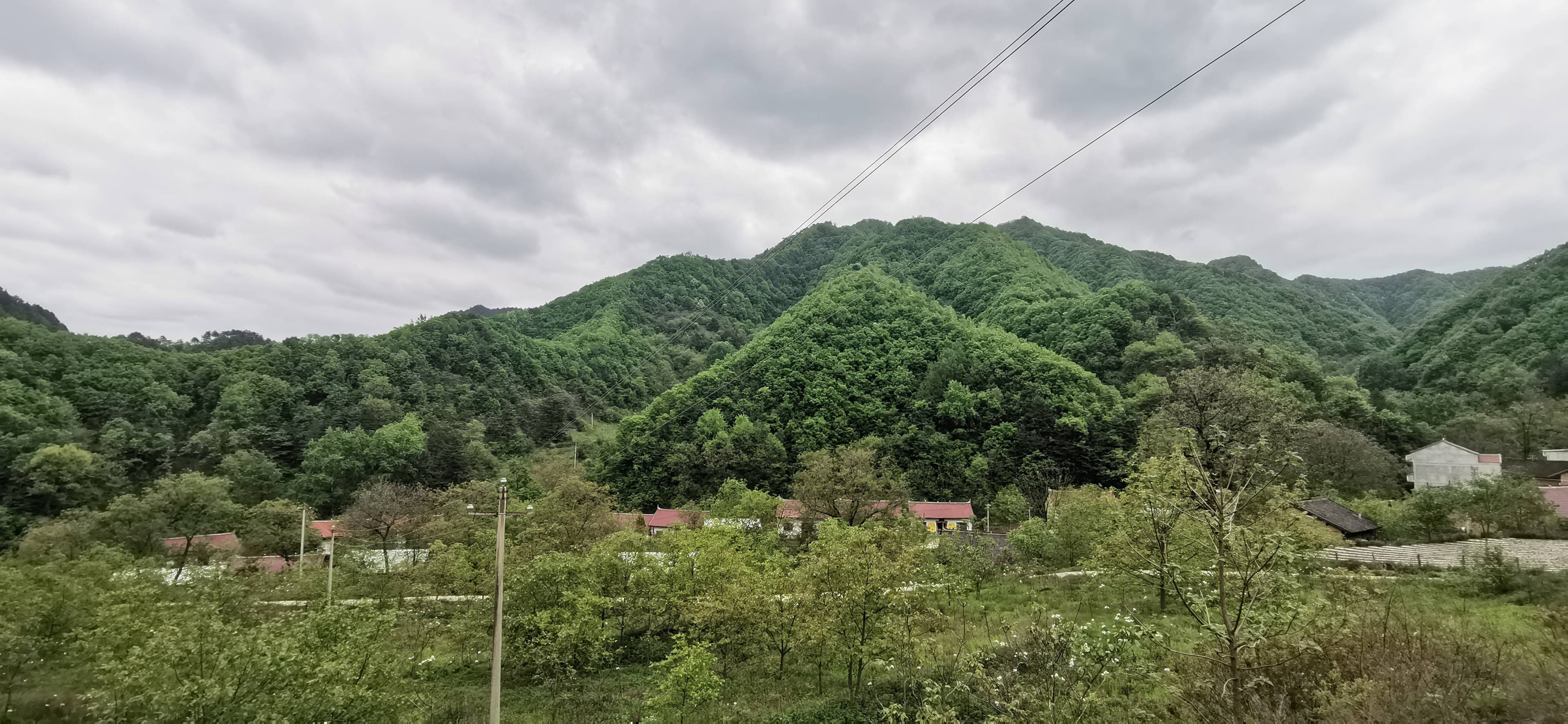 土蜂蜜真的永远都不会过期吗?