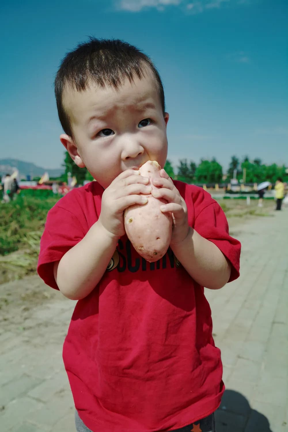 6个月以上宝宝可吃芒果，4种辅食做法详解