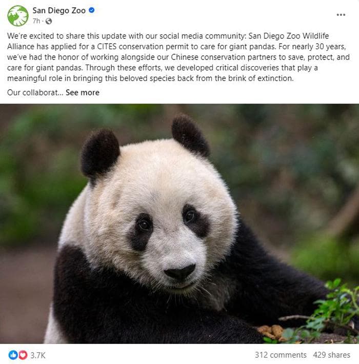 大熊猫将重返圣地亚哥动物园，预计2024年夏末抵达