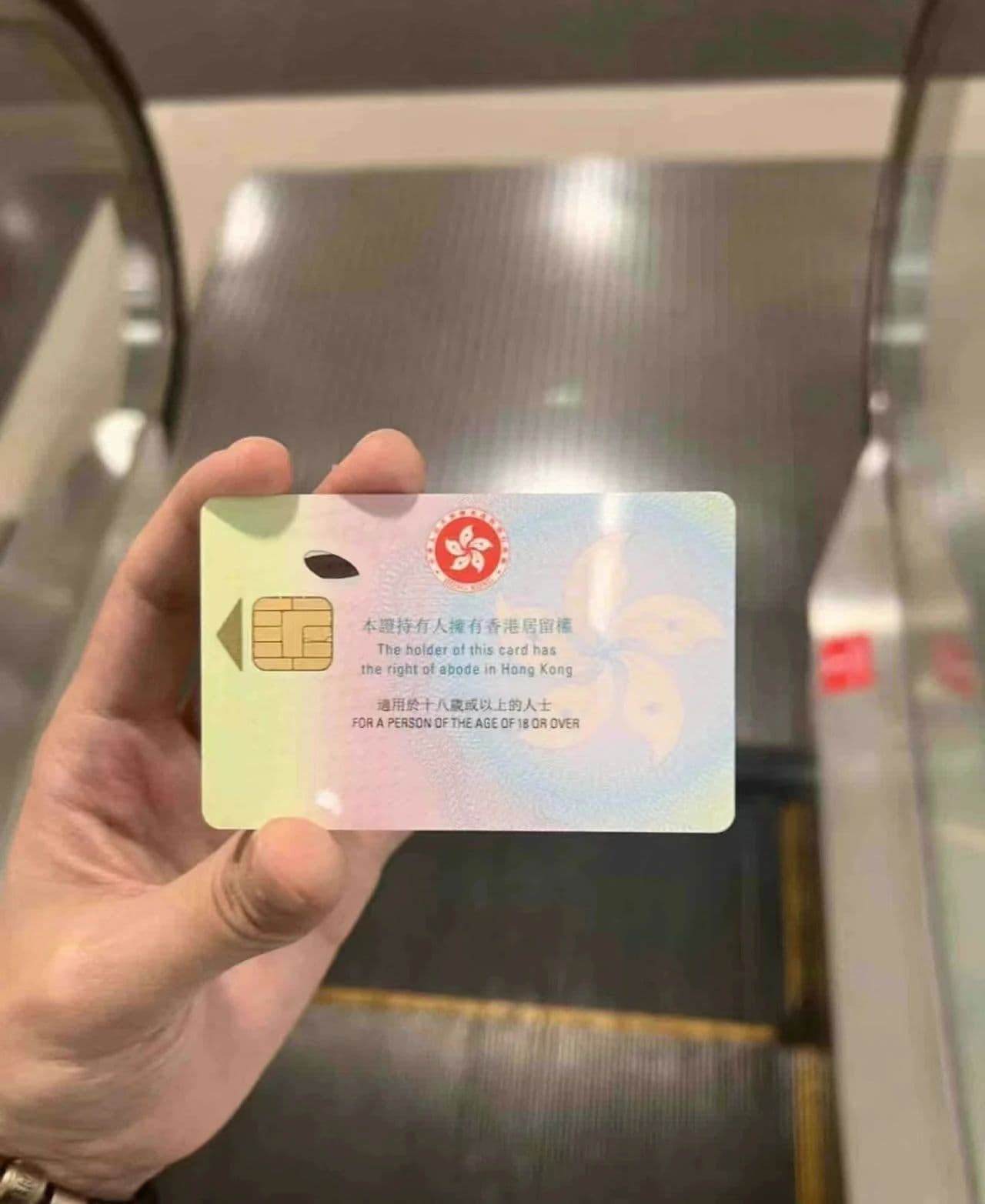 香港优才和高才通计划区别是什么？一文看清二者政策、条件及利弊