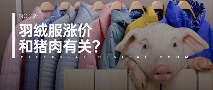 吃得起红烧肉，就穿不起羽绒服了？