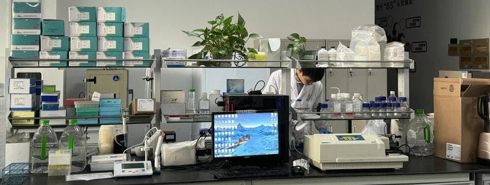 氨基氮含量测定方法详解