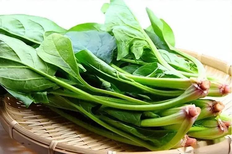 “小雪菠菜绿油油，补铁补血身体好”，6道菠菜美食学起来强体质