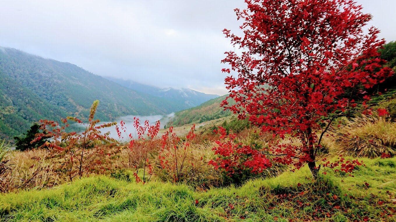 雪山登山口：台湾雪山最佳登山季节，何时出发最理想？