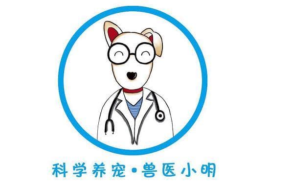兽医小明教你分辨狗狗常见皮肤病 养宠常识 ▌宠物猫狗皮肤病的致病因素、症状和预防
