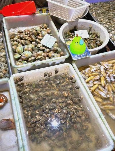 青岛海鲜市场全攻略：从新鲜海货到干货选购指南