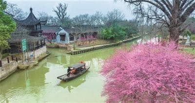 一步一景 大美春光在路上！
