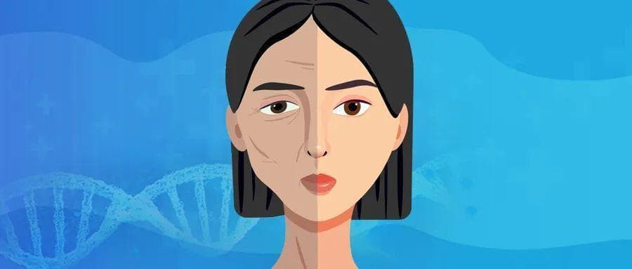 细胞年龄逆转30岁？剑桥大学发布的抗衰方案中，6种食物成为抗衰关键
