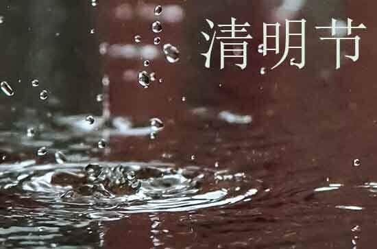 插柏带柳纪先贤 清明节插柳的习俗