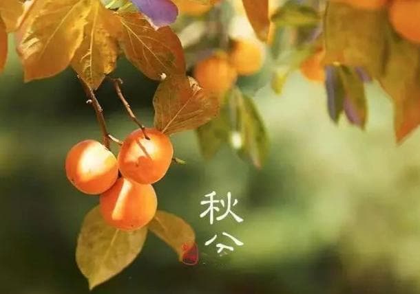 秋分日的天文意义与文化内涵