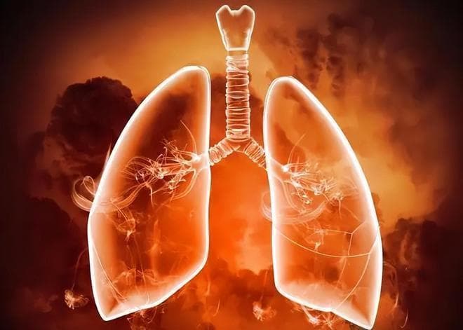 升阳补肺秋季法：中医3招教你调理肺气，祛寒保健