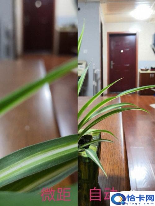 手机背景虚化怎么拍