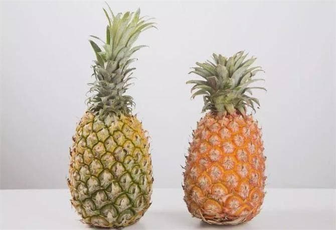 菠萝和凤梨，究竟是不是同一种水果？产地人给你细致的答案