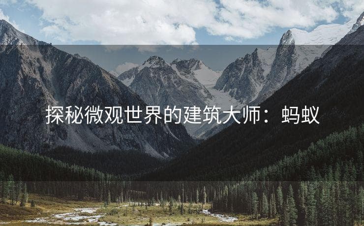 探秘微观世界的建筑大师：蚂蚁