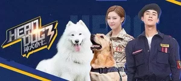 《神犬小七3》第一集剧情介绍：小七加入民间搜救队的冒险之旅