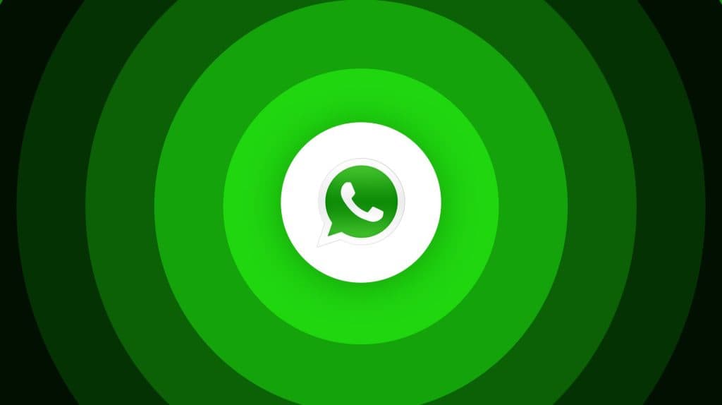 WhatsApp怎么设置用户名？